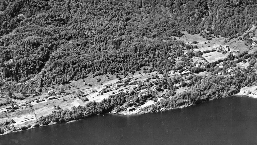 Stokke 1956. Midt på biletetden gamle tunstaden med husa åt bnr. 5. Til venstre ligg bnr. 1. Lengst til venstre ved sjøen ligg bnr. 4 Stokkaneset. Lengst til høgre bnr. 3 Naustdalen. Opp ved vegen ligg bnr. 2. I bakgrunnen til høgre ligg Vik bnr. 6 Tveitæ. Foto Widerøe’s Flyveselskap A/S 1956. 